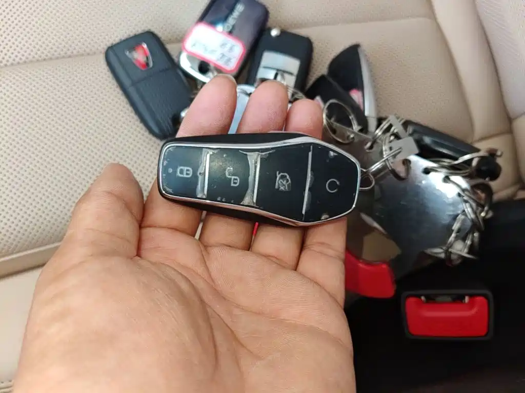 BYD Song Pro Pro 2025 DM-i 75KM Lead
