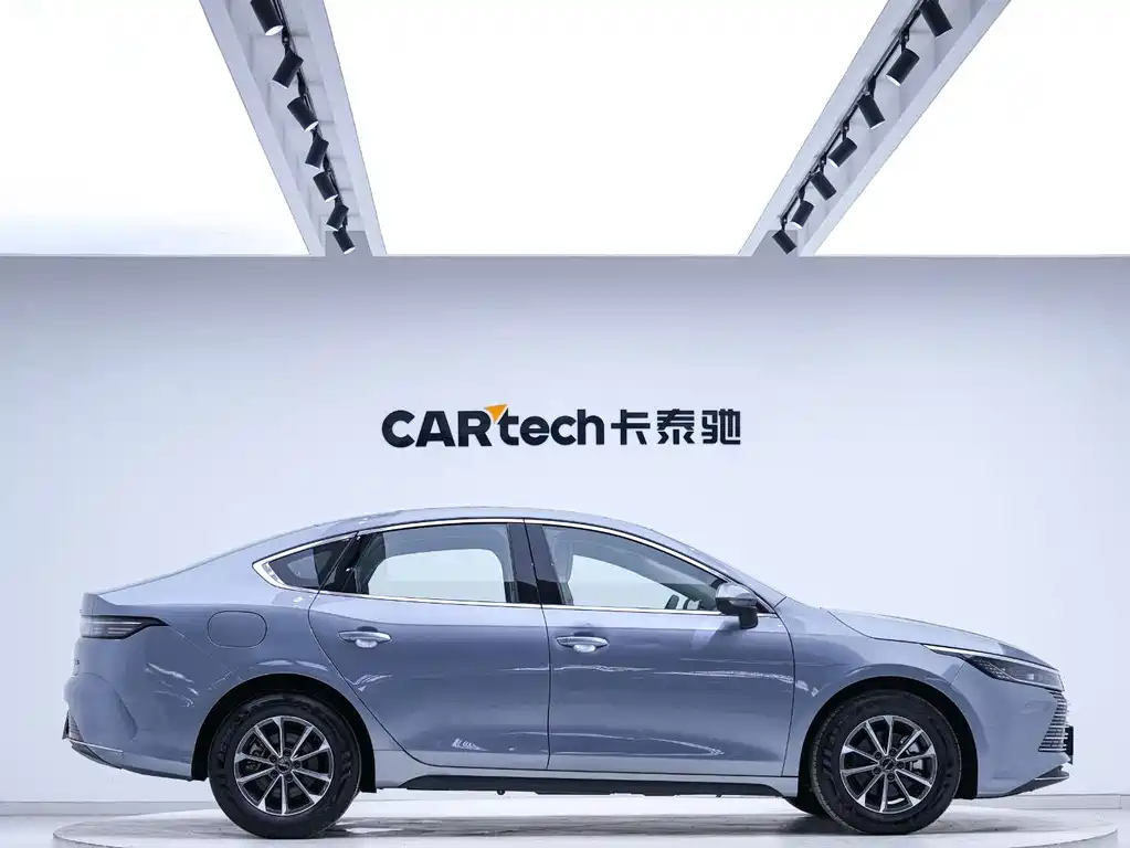 BYD Destroyer 05 2024 DM-i 55KM Luxury