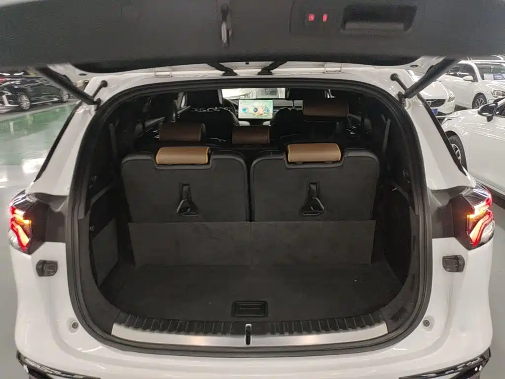 BYD Tang New Energy — миниатюра 19