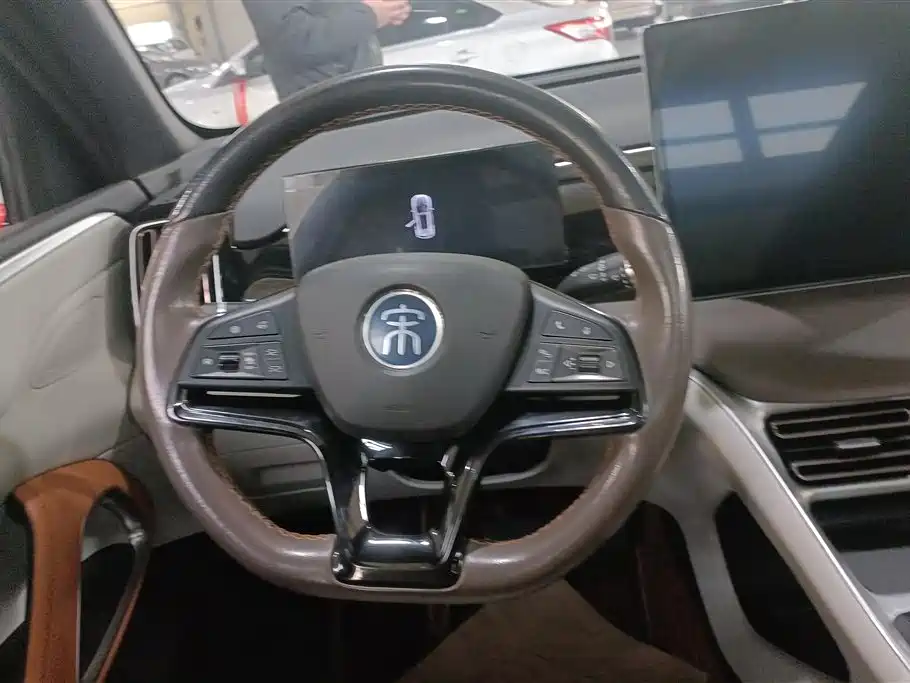 BYD SONGJIANG NEW ENERGY