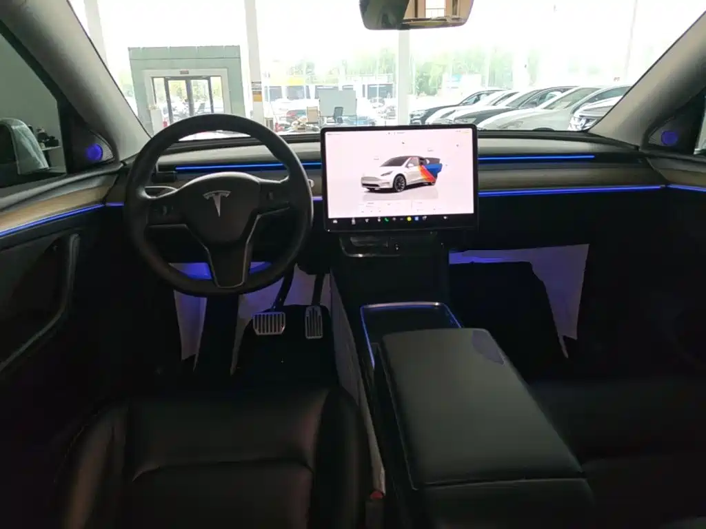 Tesla Model Y — миниатюра 10