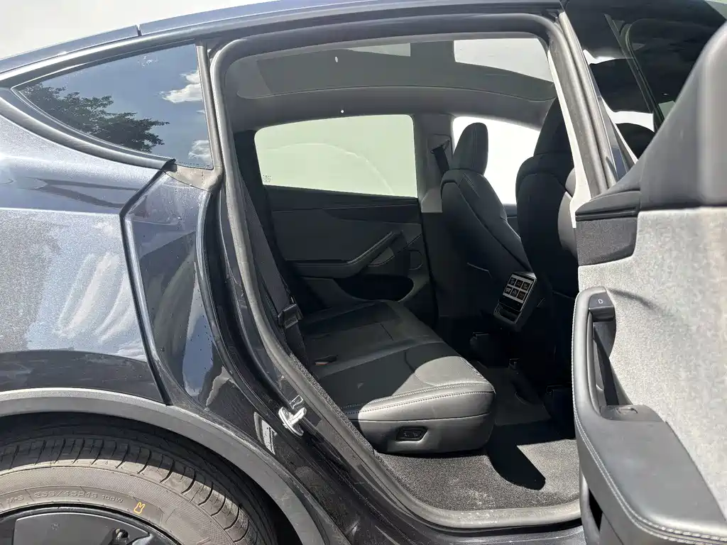 Tesla Model Y — миниатюра 11