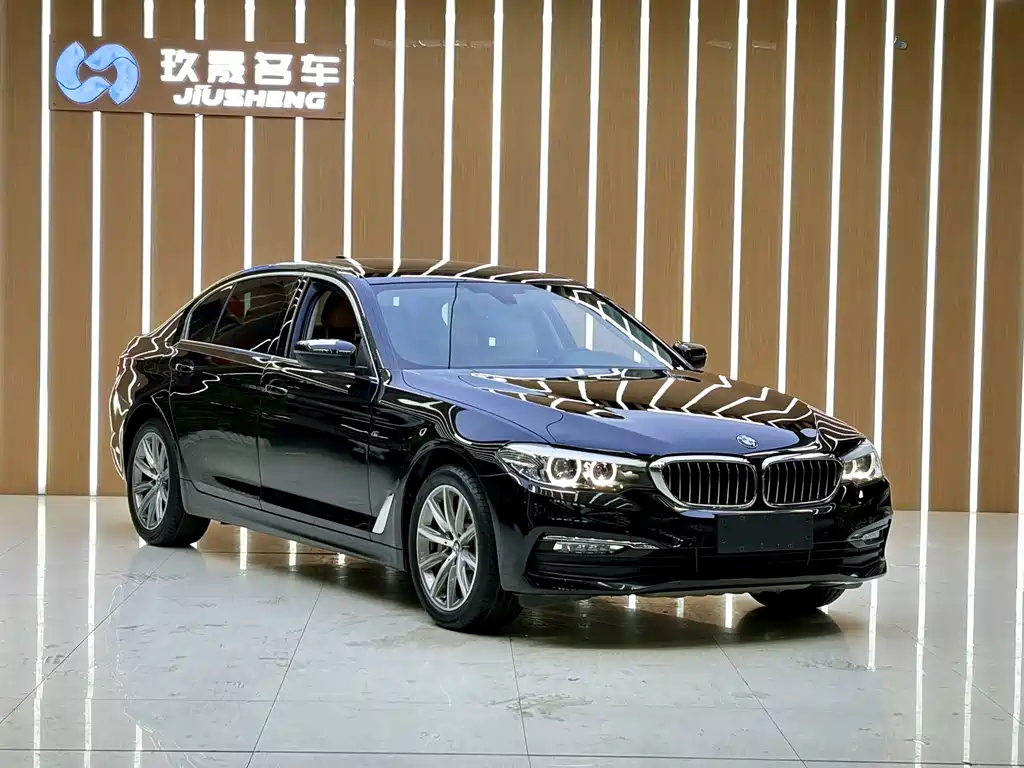 BMW 5 Series 5 2018 528Li