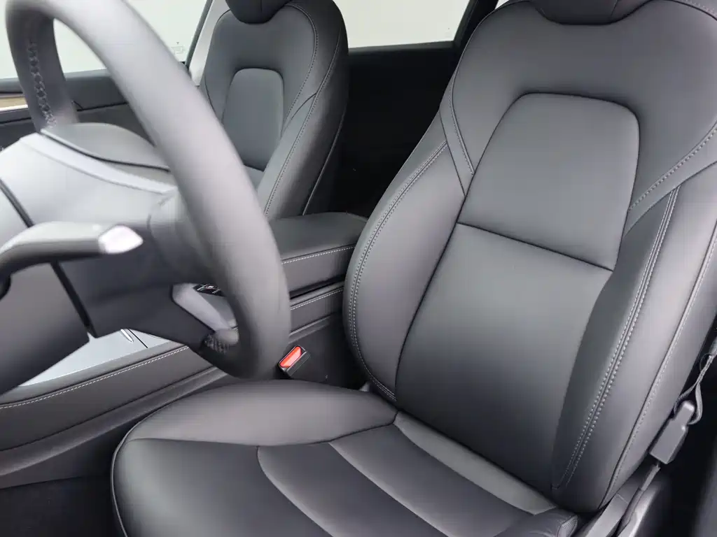 Tesla Model Y — миниатюра 7