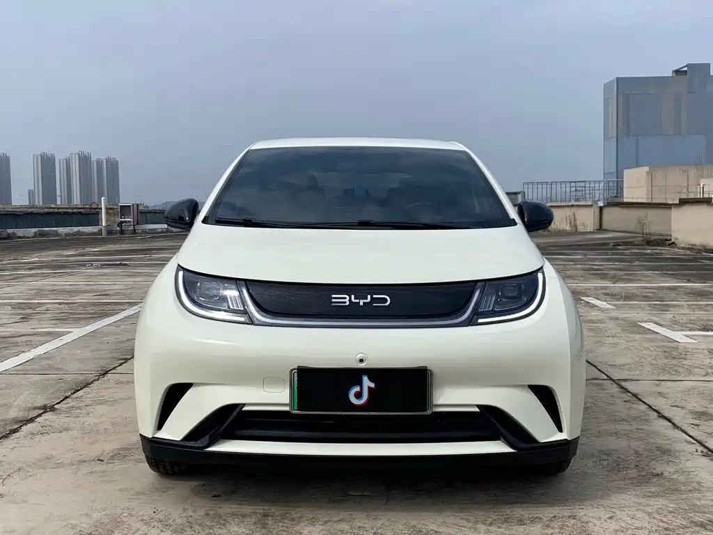 BYD Dolphin — миниатюра 3