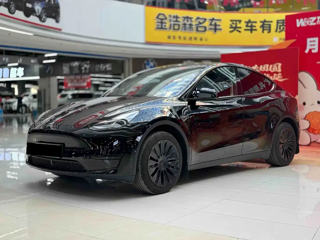 Tesla Model Y — миниатюра 3
