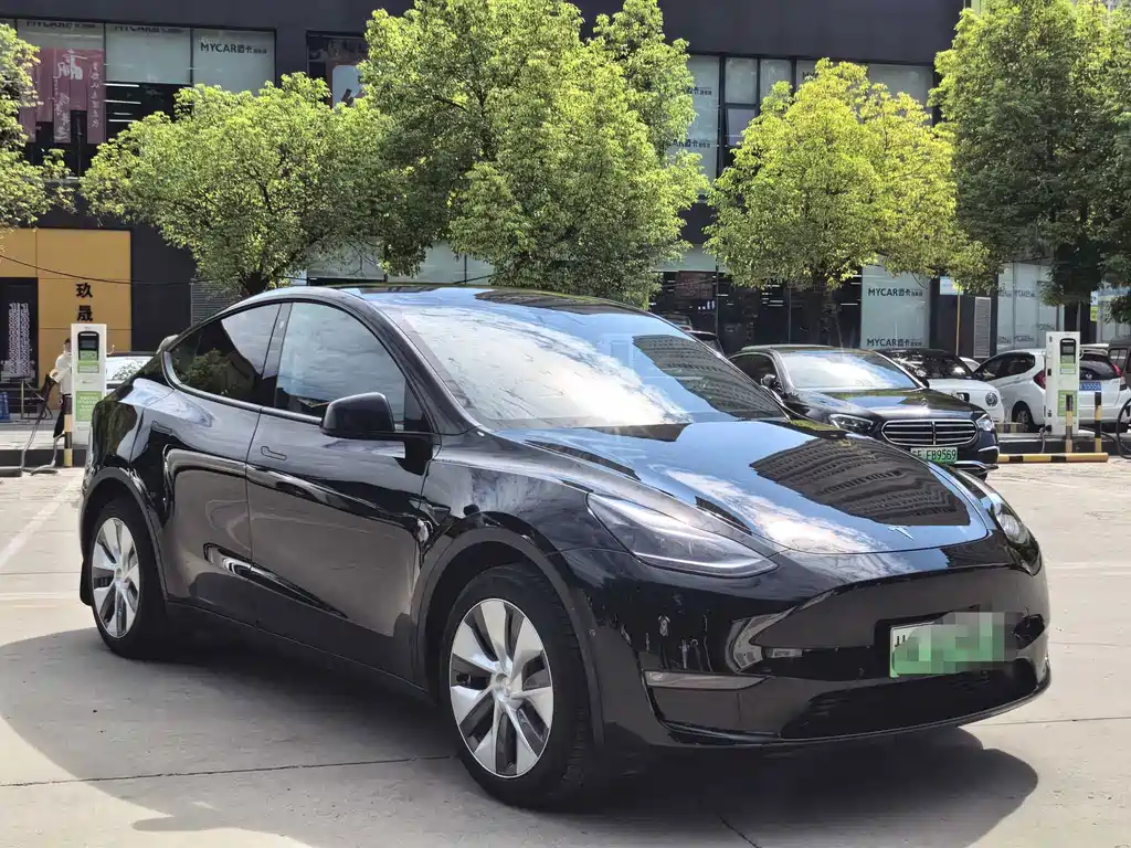 Tesla Model Y — миниатюра 3