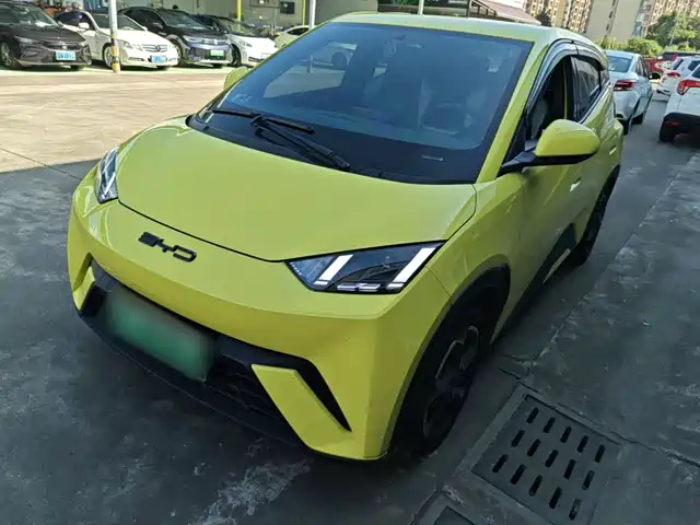 BYD Seagull