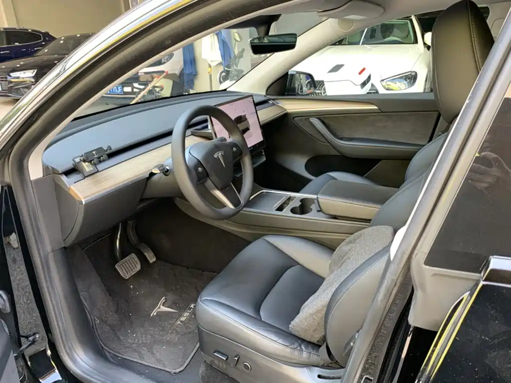 Tesla Model Y — миниатюра 7