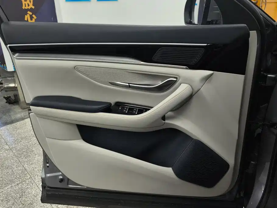 BYD PLUS New Energy — миниатюра 7