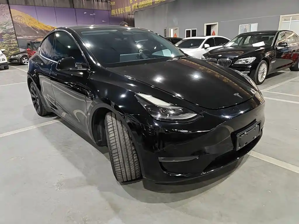 Tesla Model Y — миниатюра 4