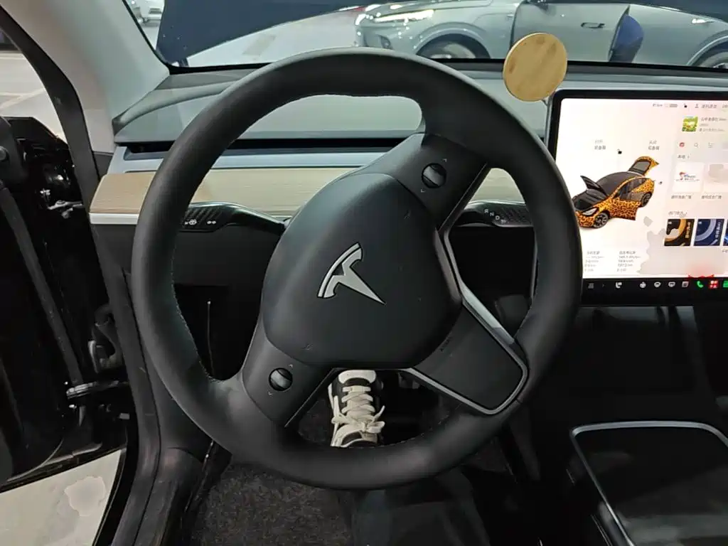 Tesla Model Y — миниатюра 11