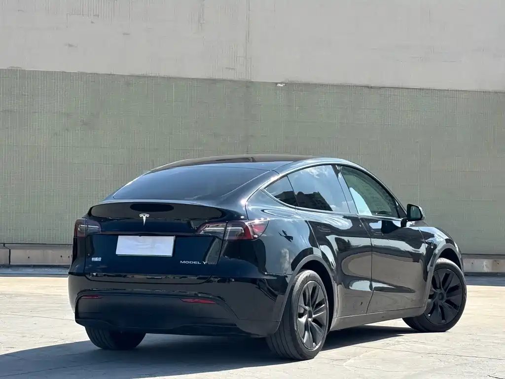 Tesla Model Y — миниатюра 10