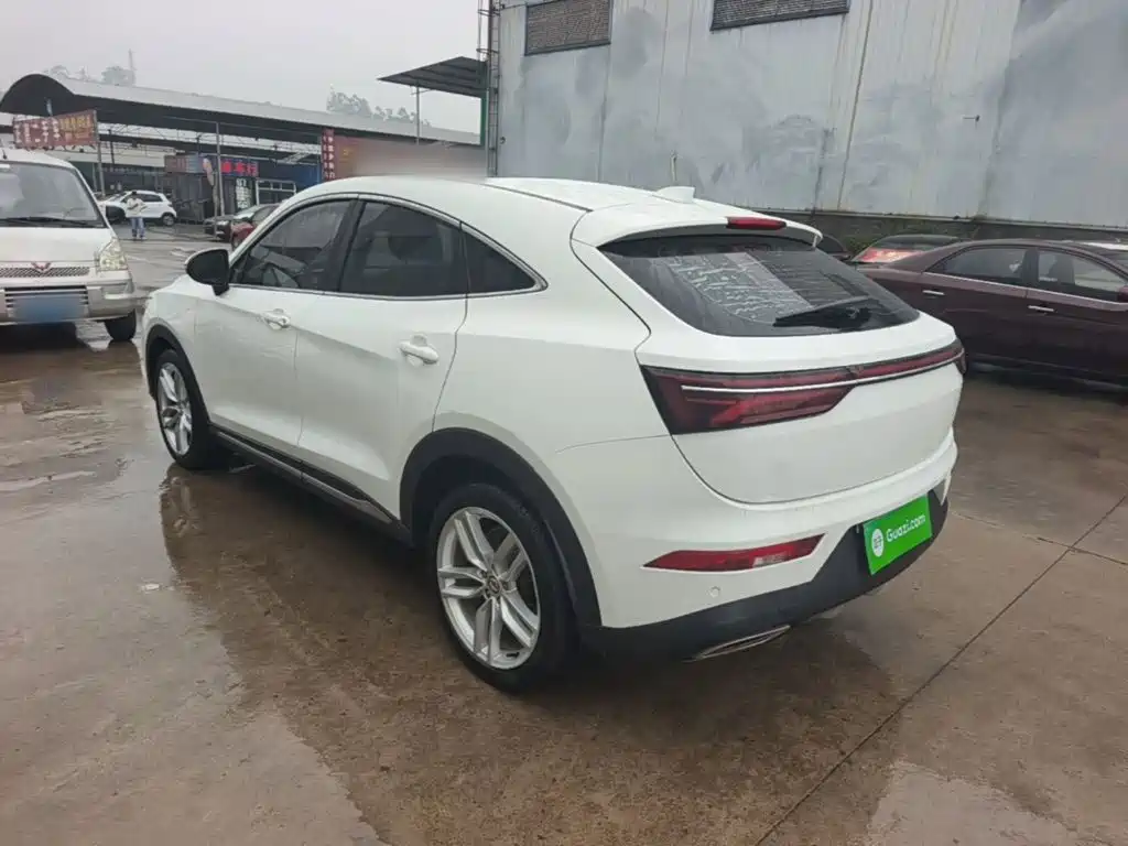 Fengguang Fengguang ix5 — миниатюра 5