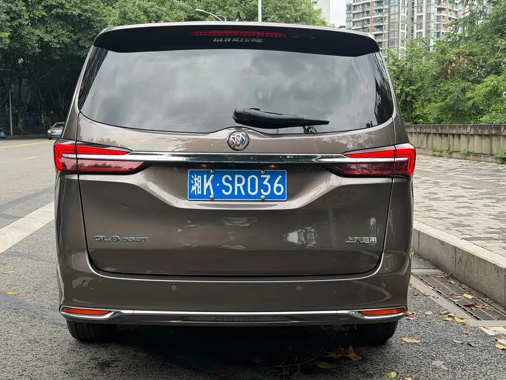Buick GL8 — миниатюра 13