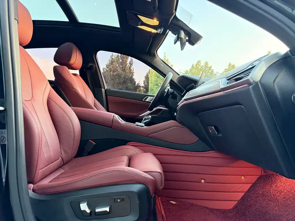 BMW X6 — миниатюра 24