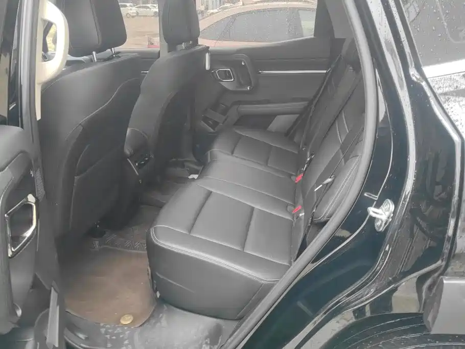 Haval Big Dog PLUS New Energy — миниатюра 11