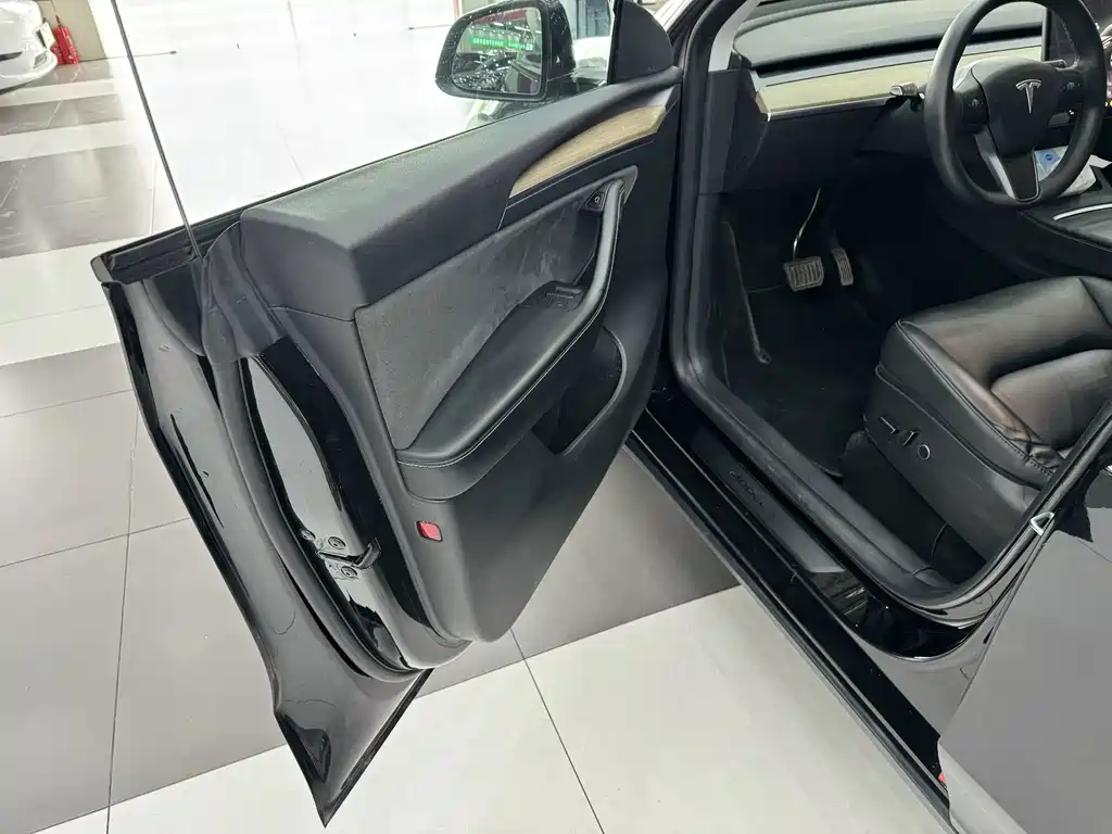 Tesla Model Y — миниатюра 11