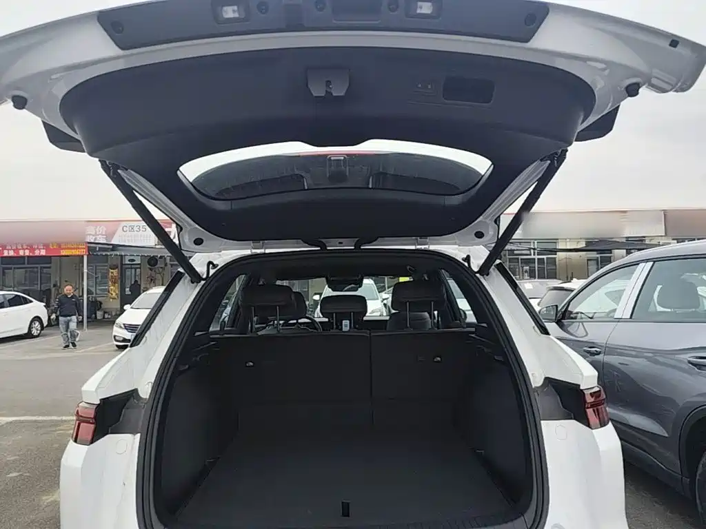 BYD Pro New Energy — миниатюра 19