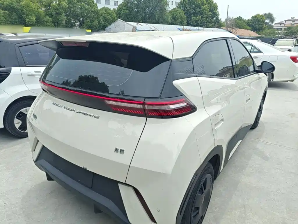 BYD Seagull