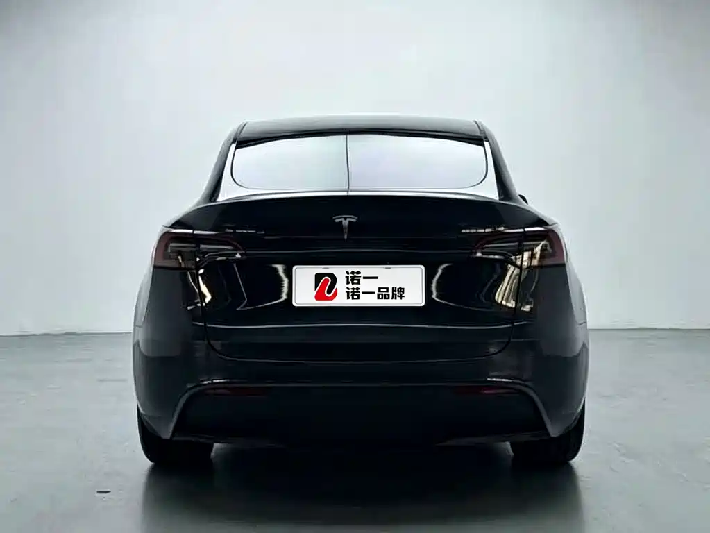 Tesla Model Y — миниатюра 5