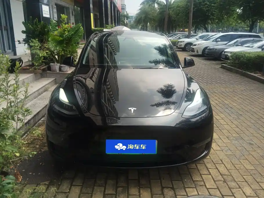 Tesla Model Y — миниатюра 2
