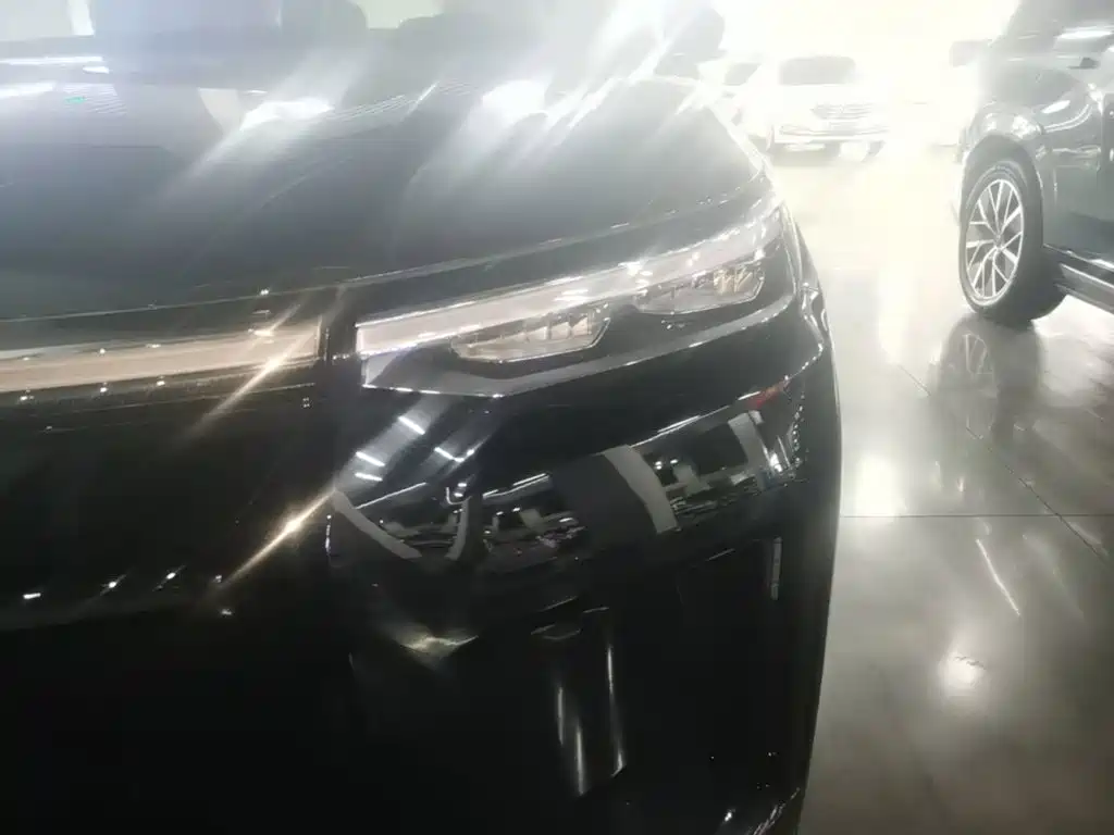 GAC Motor Trumpchi Xiangwang S9 — миниатюра 24