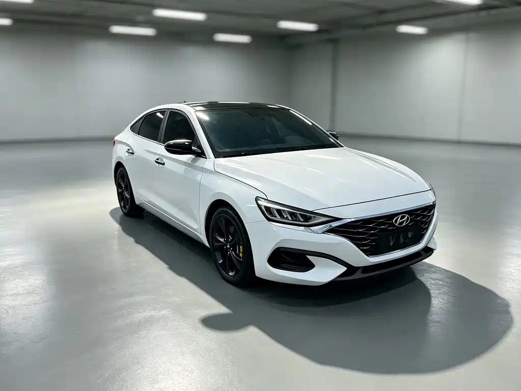 Hyundai Fista — миниатюра 3