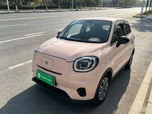 2021 Leapmotor T03