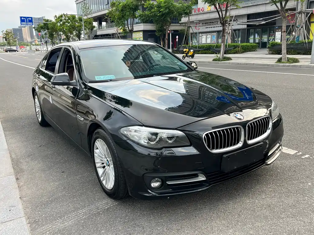 BMW 5 Series — миниатюра 3