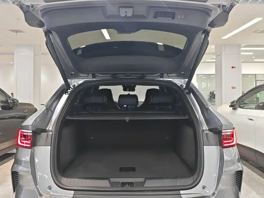 BYD PLUS New Energy — миниатюра 4