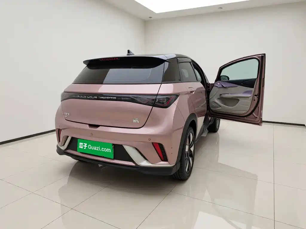 BYD Dolphin — миниатюра 6