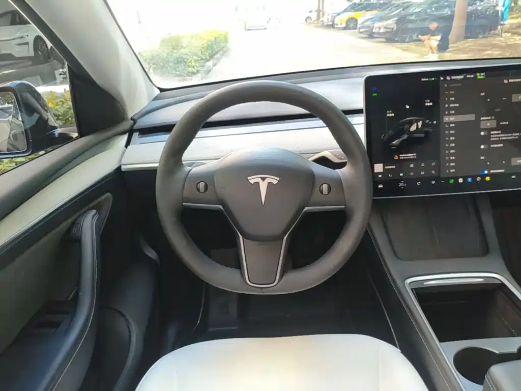 Tesla Model Y — миниатюра 11
