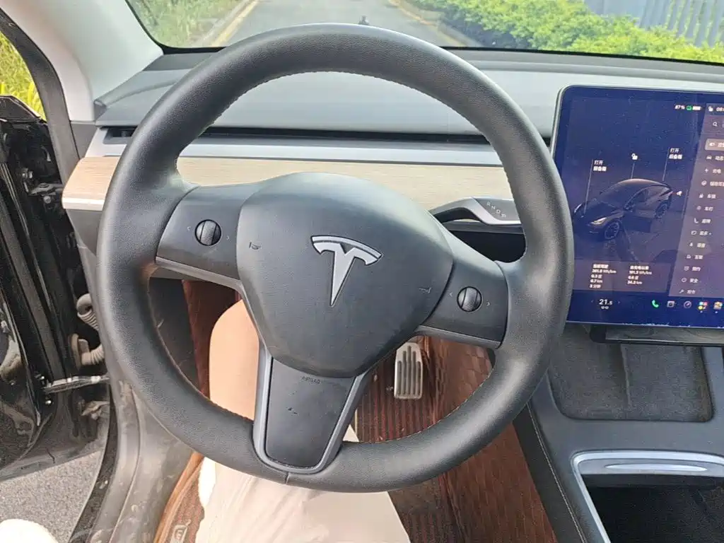 Tesla Model Y — миниатюра 11