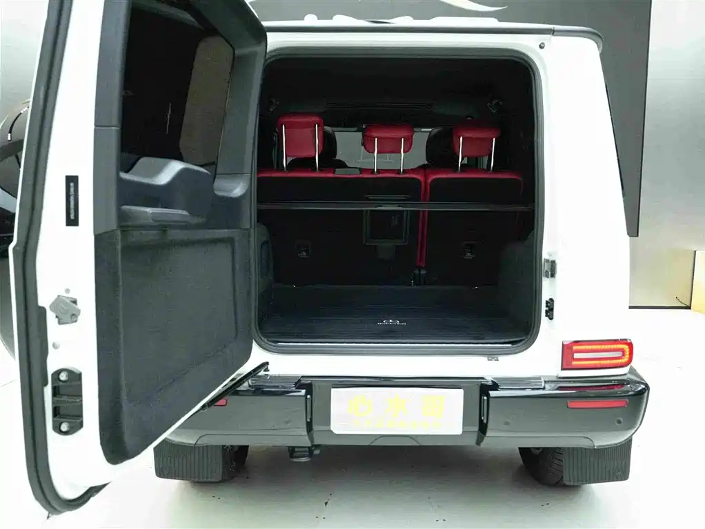Mercedes-Benz G-Class G 350, фото 22