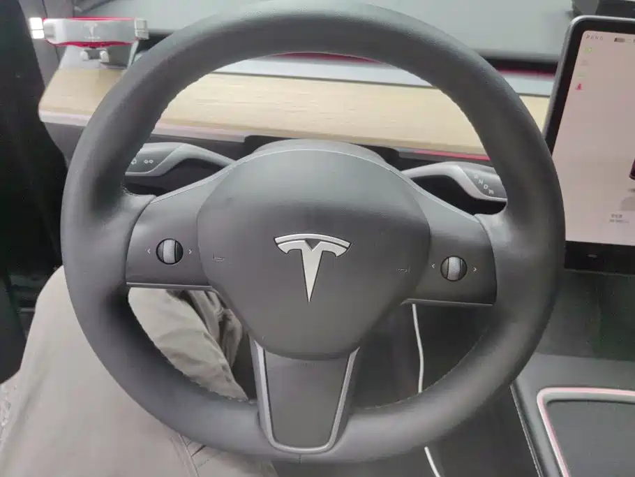 Tesla Model Y — миниатюра 15
