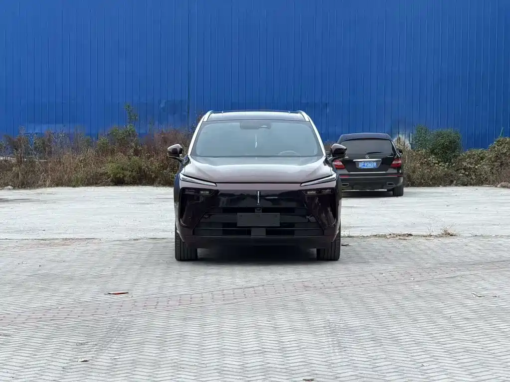 Wey Wey Lanshan — миниатюра 4