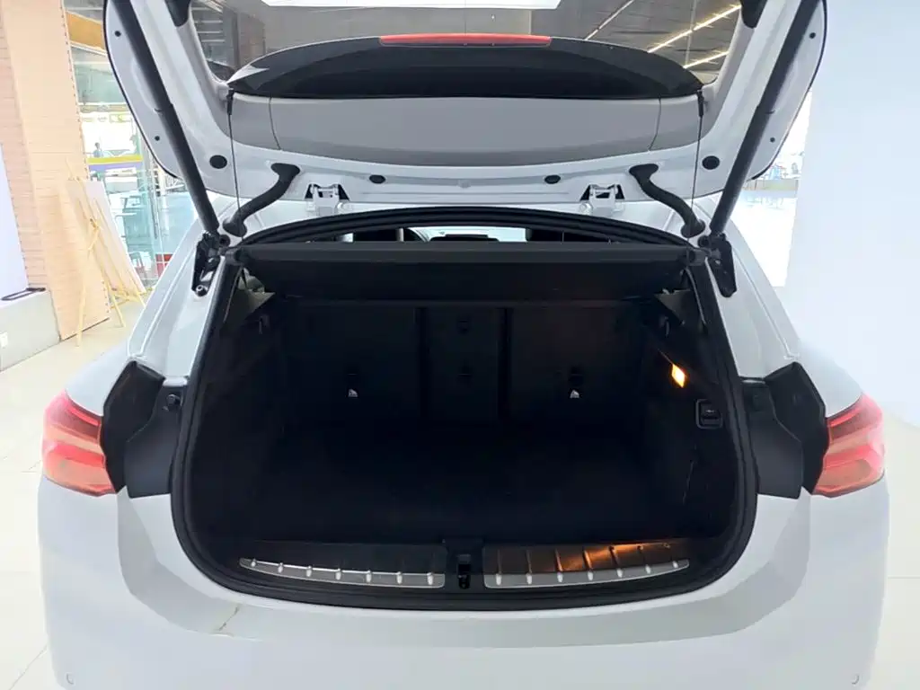 BMW X2 (Import) — миниатюра 19