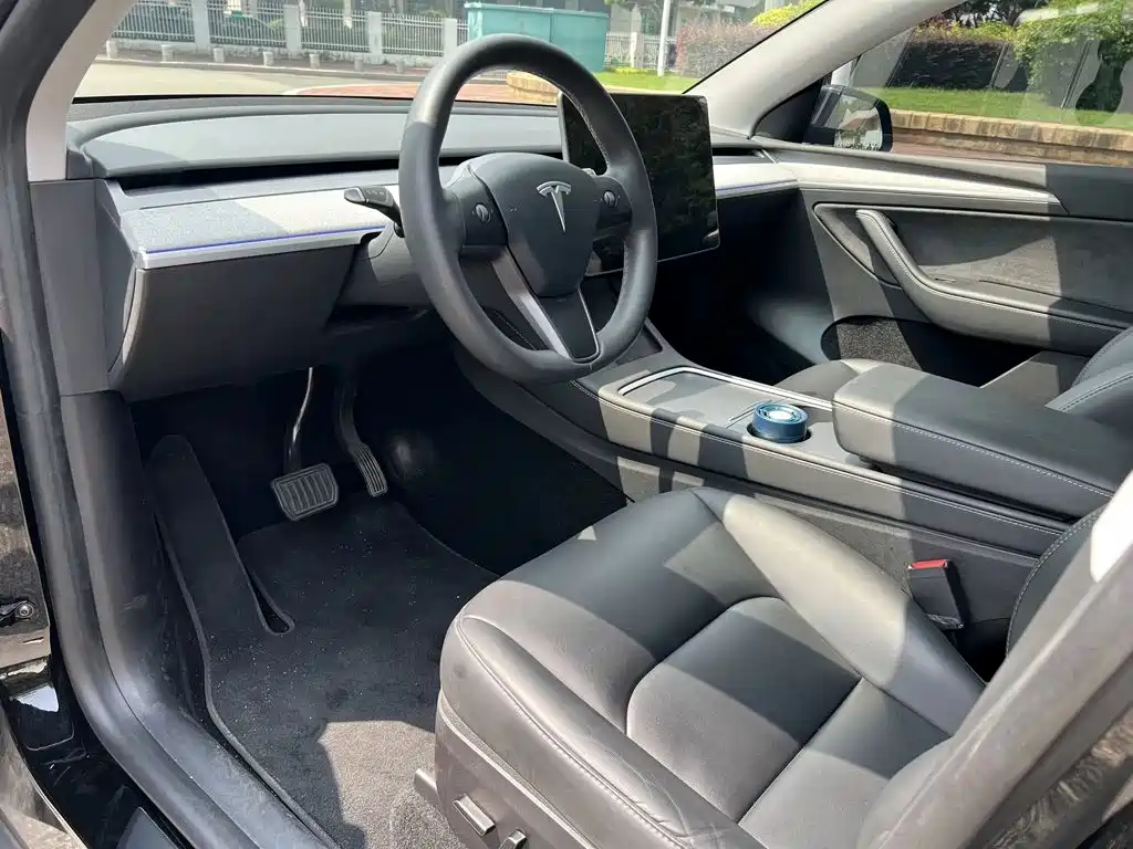 Tesla Model Y — миниатюра 8