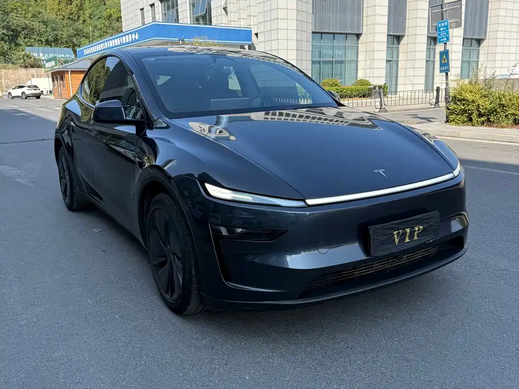 Tesla Model Y — миниатюра 3