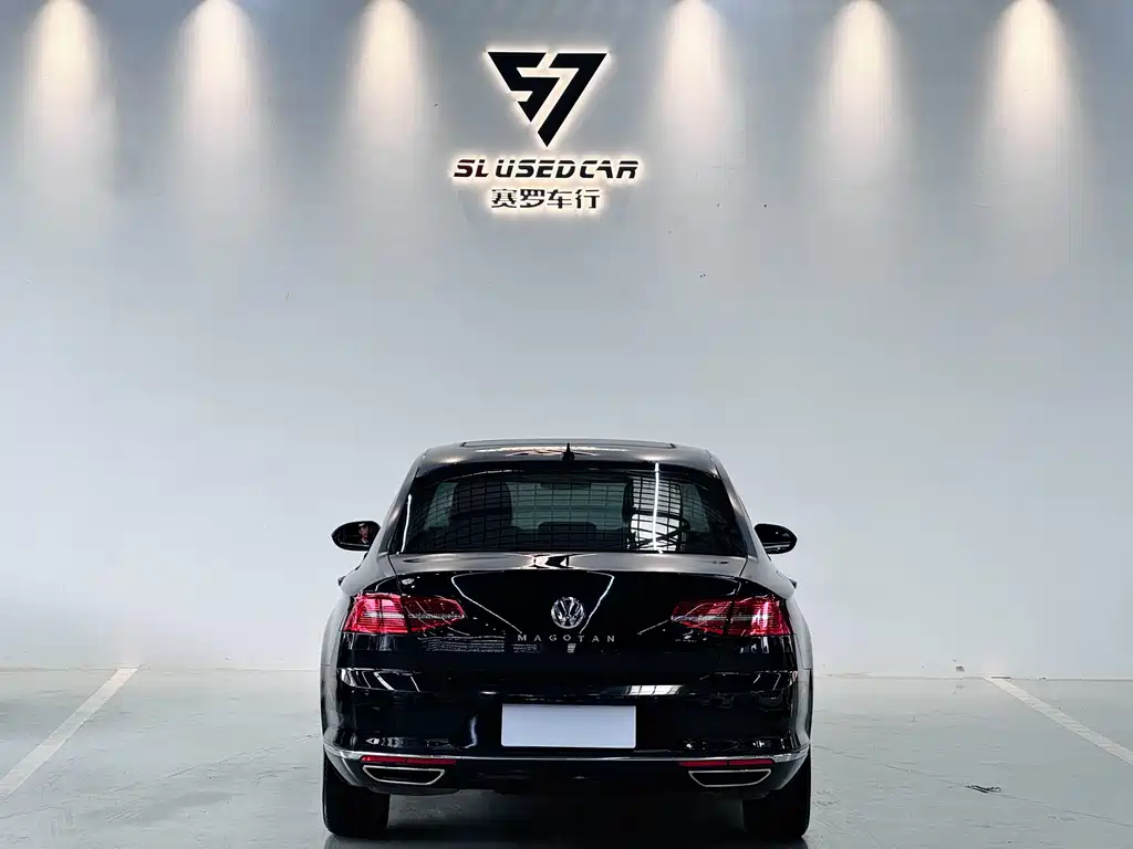 Volkswagen Magotan 2019 330TSI DSG Luxury VI