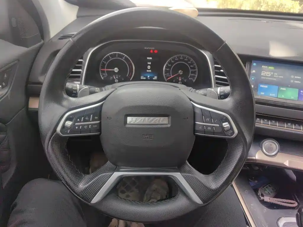 Haval H6 — миниатюра 11