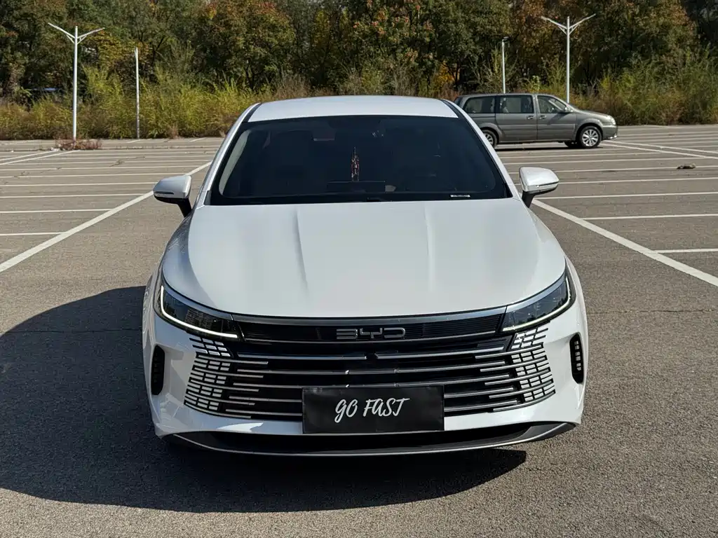 BYD Destroyer 05 — миниатюра 2