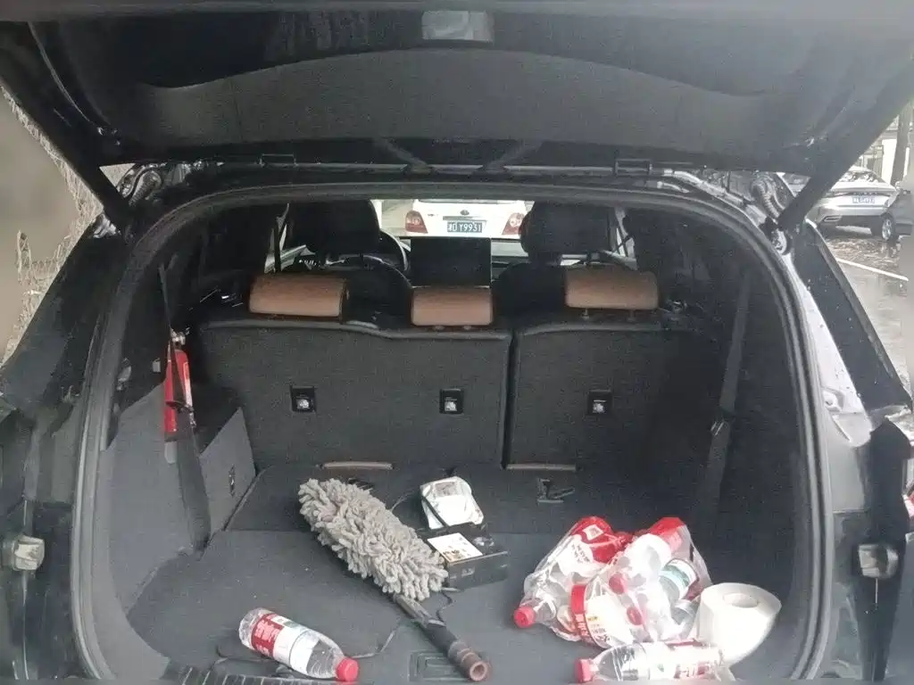 BYD Tang New Energy — миниатюра 20