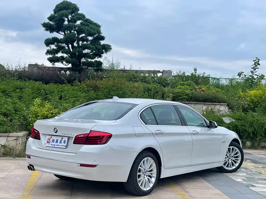 BMW 5 Series — миниатюра 5