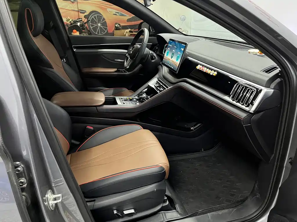 BYD PLUS — миниатюра 12