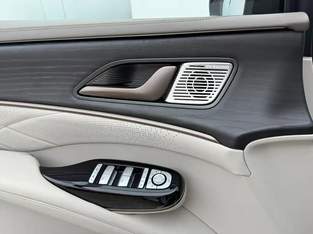 Denza Denza D9 — миниатюра 16