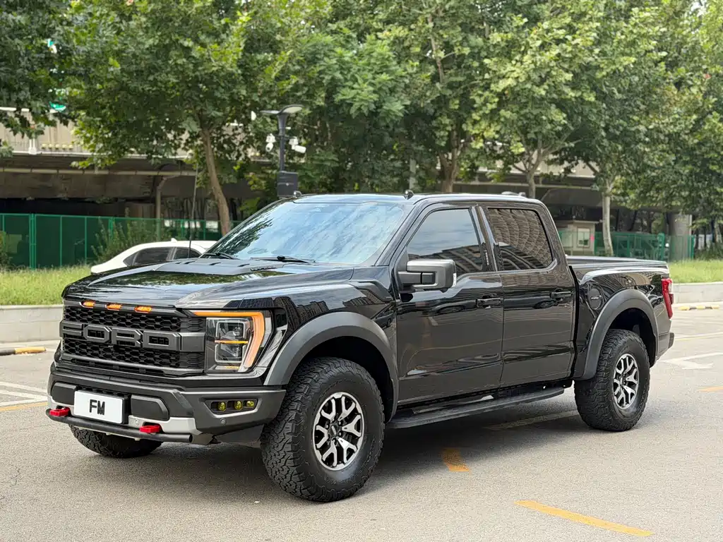 Ford F-150 Raptor — миниатюра 5