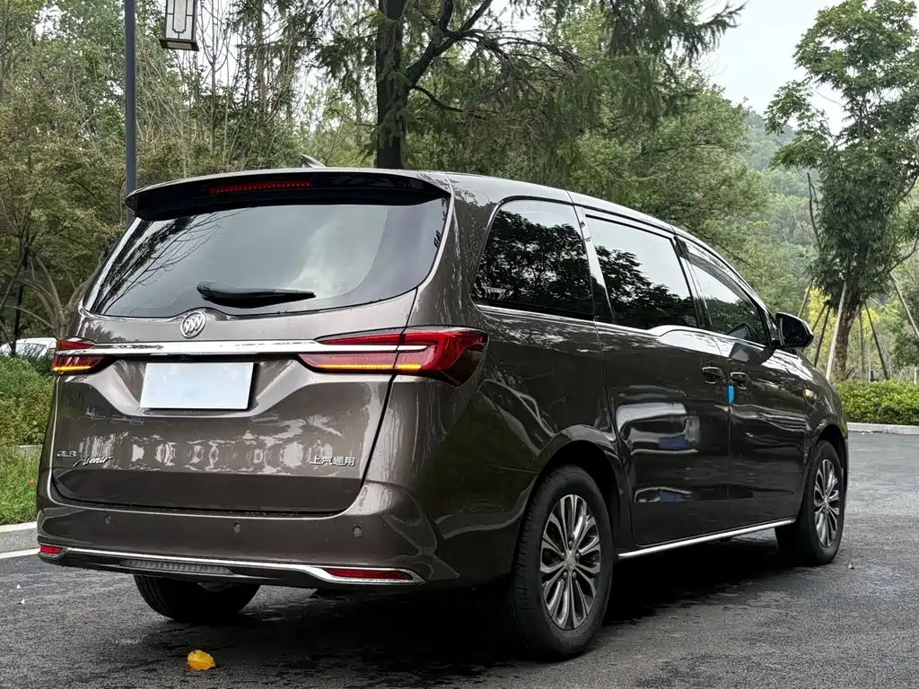 Buick GL8 — миниатюра 5