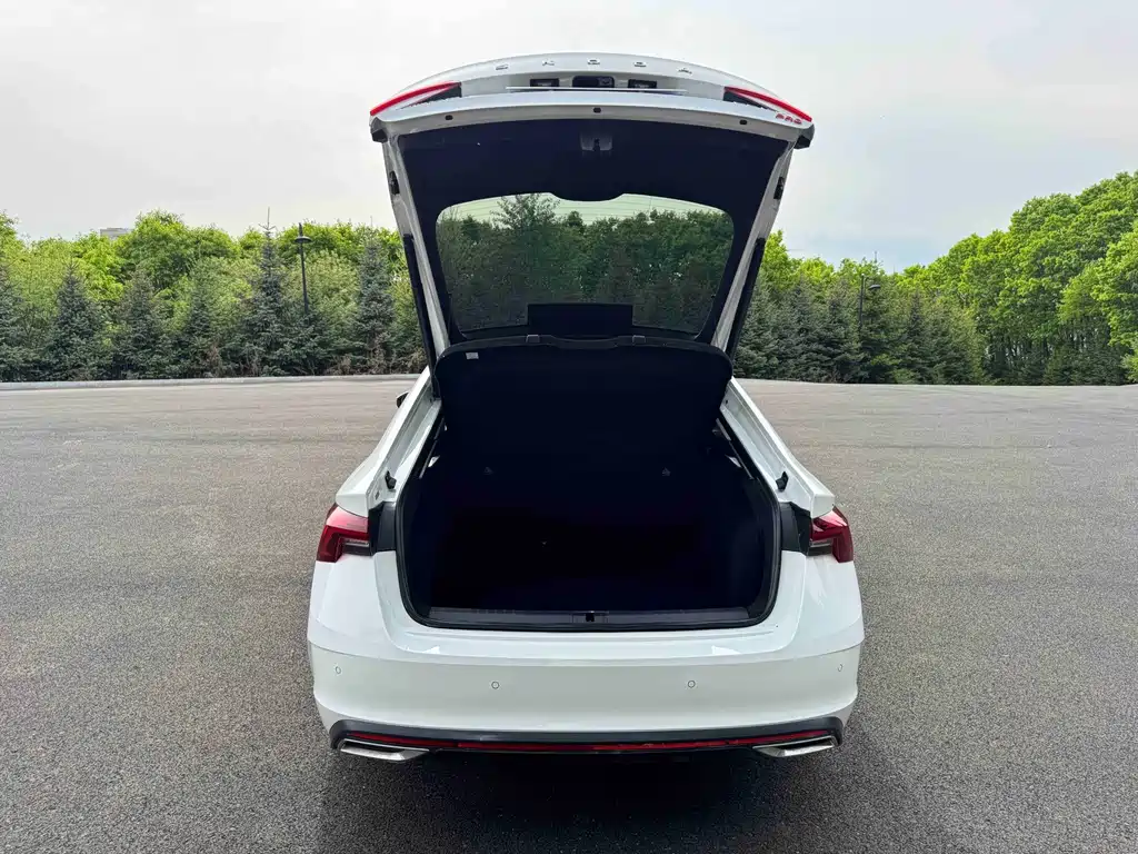 Skoda Octavia — миниатюра 20